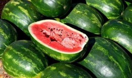 娱乐吃瓜的素材有哪些,盘点最新爆料与幕后故事