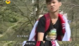 变形计12季在线观看,见证蜕变，共赴成长之旅