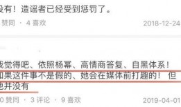 一线视频爆料平台,揭秘幕后真相，还原事件全貌