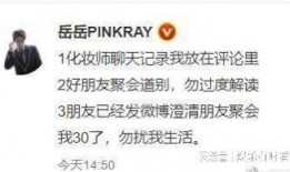 刘大锤爆料会被抓吗视频,揭秘网络爆料风险与法律边界