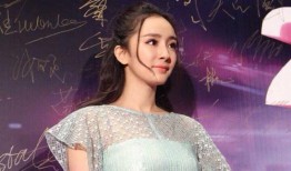 何嘉文最新爆料新闻内容,揭秘娱乐圈惊人内幕