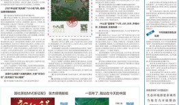 今日爆料新闻讲解内容怎么写,深度解析新闻事件背后的真相