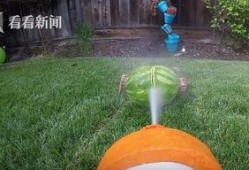 一个大西瓜爆料视频,独家爆料西瓜视频幕后真相