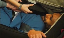 箱中人在线观看,揭秘神秘事件的惊悚真相