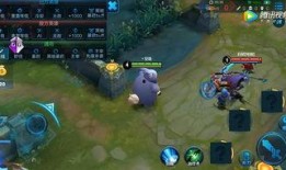 老王者英雄爆料视频,爆料视频中的传奇故事与战术解析