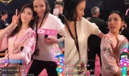 何穗爆料维密视频大全,揭秘超模们的艰辛与荣耀