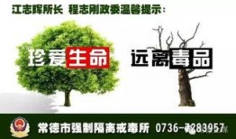 常德新闻怎么爆料,聚焦民生热点，共筑和谐家园