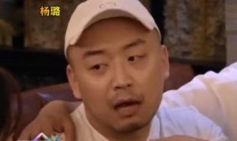 杨璐最新爆料明星,揭秘明星背后不为人知的秘密！”