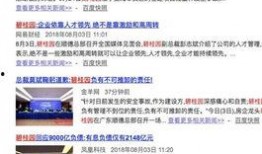 碧桂园最新爆料新闻报道,揭秘项目进展与市场动态