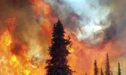 爆料常德山火案件视频,视频揭露惊人真相