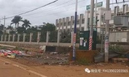 雷州英利最新爆料,揭秘项目进展与未来规划