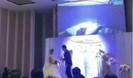 台湾现场爆料视频播放,真实记录惊心动魄一幕