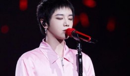 谭松华晨宇最新爆料,揭秘音乐背后的故事与情感