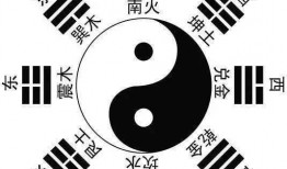 八卦爆料集合视频下载,视频下载攻略全解析