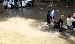 林州市最新爆料新闻,事件详情曝光