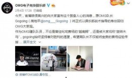 圈内人士爆料omg,揭秘战队背后的故事