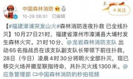 漳浦爆料新闻最新消息今天,突发事件引发关注，详情即将揭晓！
