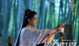 孤芳不自赏免费在线观看,探寻古装爱情的绝美篇章