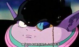 娱乐吃瓜Jerry,Jerry带你领略娱乐圈的趣味瞬间