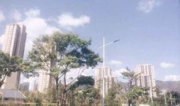 私家花园爆料视频,独家爆料带你领略隐秘奢华生活