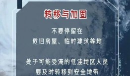最新台风爆料消息新闻视频,揭秘即将来袭的超级风暴路径与影响