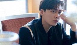 李易峰被爆料画面视频,真相与争议并存