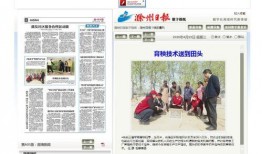 安徽滁州新闻爆料电话,揭秘安徽滁州最新爆料电话动态