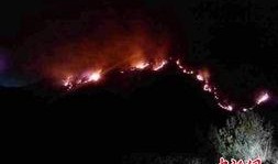 爆料常德山火案件视频,视频揭露惊人真相