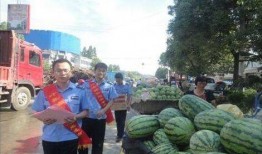 礼县网红吃瓜事件真相揭秘,揭秘背后的真相与争议