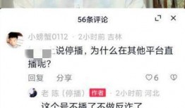 老陈最新爆料视频大全,揭秘幕后真相，带你走进事件核心