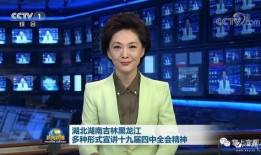 宜都爆料新闻视频播放,视频揭秘事件真相，引发网友热议