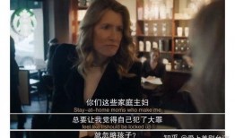 美剧大小谎言在线观看,揭开隐藏在光鲜外表下的家庭秘密