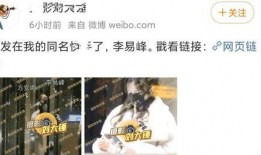 李易峰被爆料画面视频,真相与争议并存