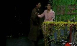 冯巩小品爆料视频播放,揭秘经典桥段背后的故事