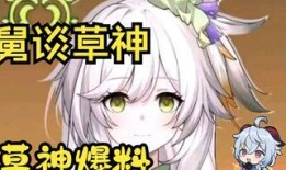 原神草神剧情爆料视频,揭秘原神神秘新角色与神秘力量