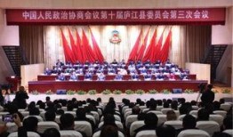 庐江县新闻爆料热线,见证城市脉搏，倾听民声心声