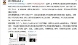 河南郑州热门爆料案件视频,真相与争议交织的悬疑故事