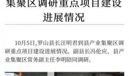 罗山女士爆料新闻事件,揭开新闻事件背后惊人真相