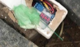 柬埔寨赌场爆料视频播放