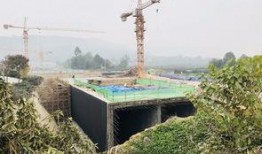 成都隧道爆料最新消息,施工进展与安全情况揭秘