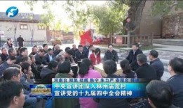 林州市最新爆料新闻,事件详情曝光