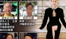 香港蔡天凤案件爆料视频,揭秘背后惊人内幕