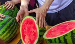 吃瓜中心免费,免费畅享娱乐盛宴的秘密基地