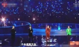 武汉江滩晚会爆料事件视频,真相与争议交织