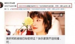 最新圈内人士爆料吴昕,圈内人士爆料揭秘