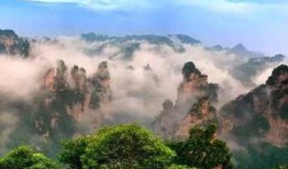 张大仙最新爆料五岳山,张大仙最新爆料揭秘