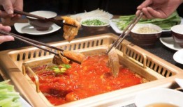 广东美食爆料视频大全,广东美食爆料视频大全精选