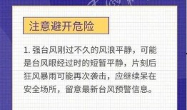 最新台风爆料新闻内容视频,揭秘“XX”台风的最新路径与影响