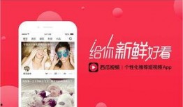 娱乐吃瓜酱视频边框,揭秘热门视频边框背后的故事