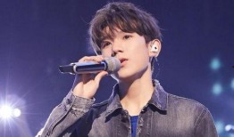 内部人员爆料王源视频,王源私密视频曝光，真相揭秘